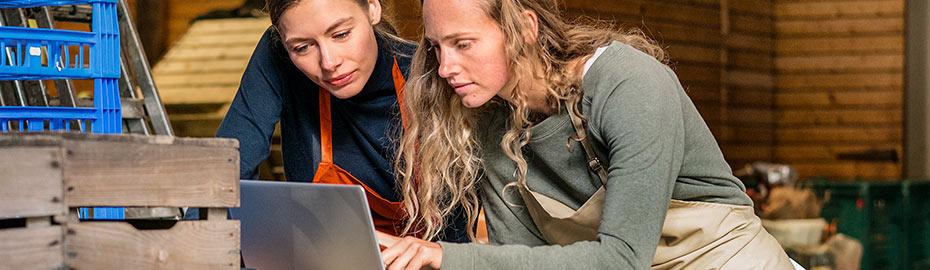 Online Banking Firmenkunden Raiffeisenbank Ichenhausen Eg